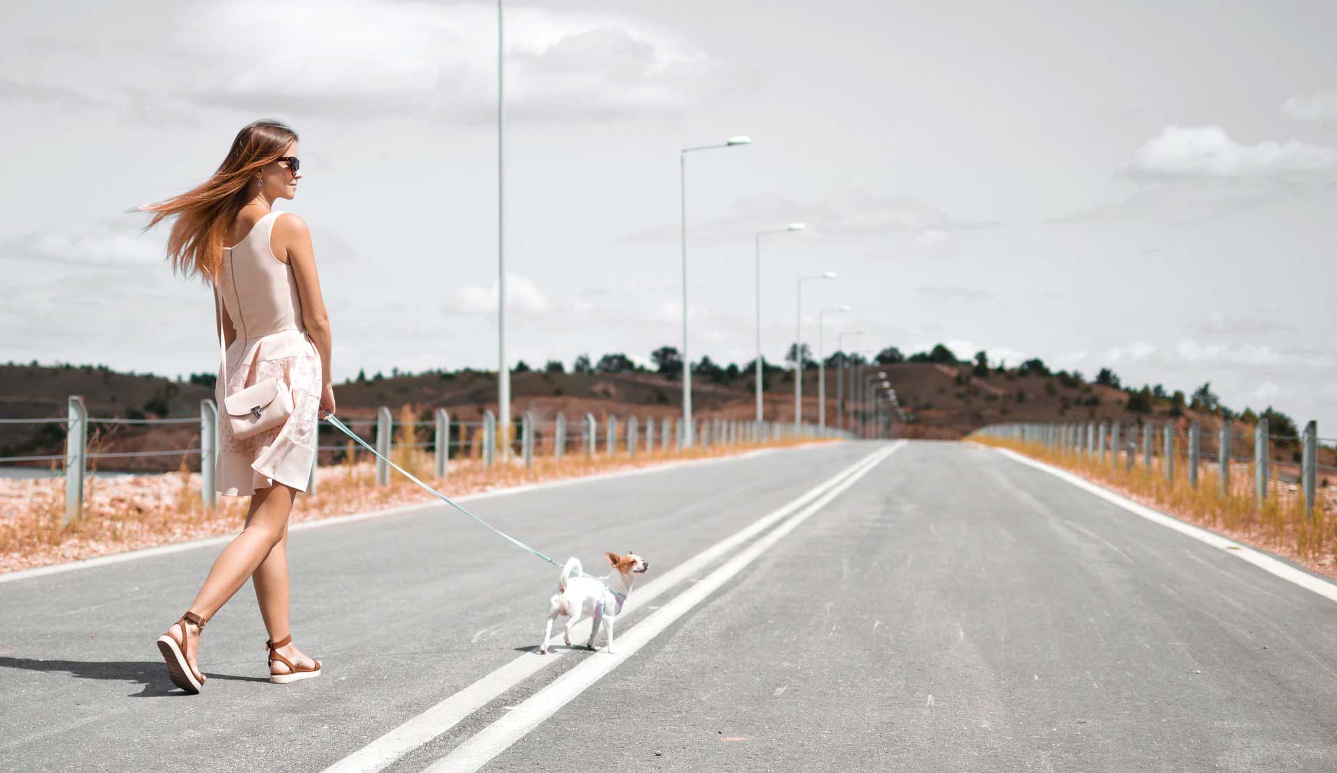 Galeria imagem 4